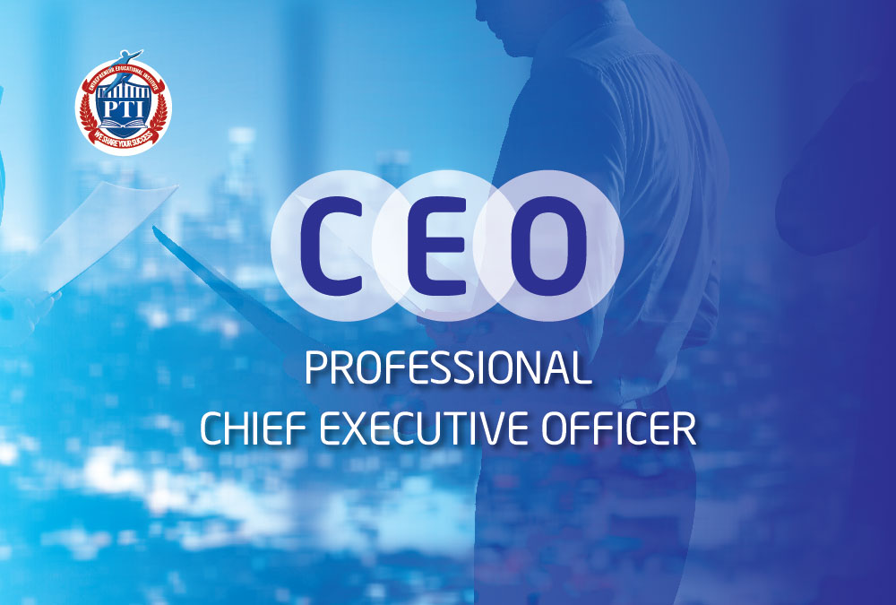 CEO - Professional Chief Executive Officer